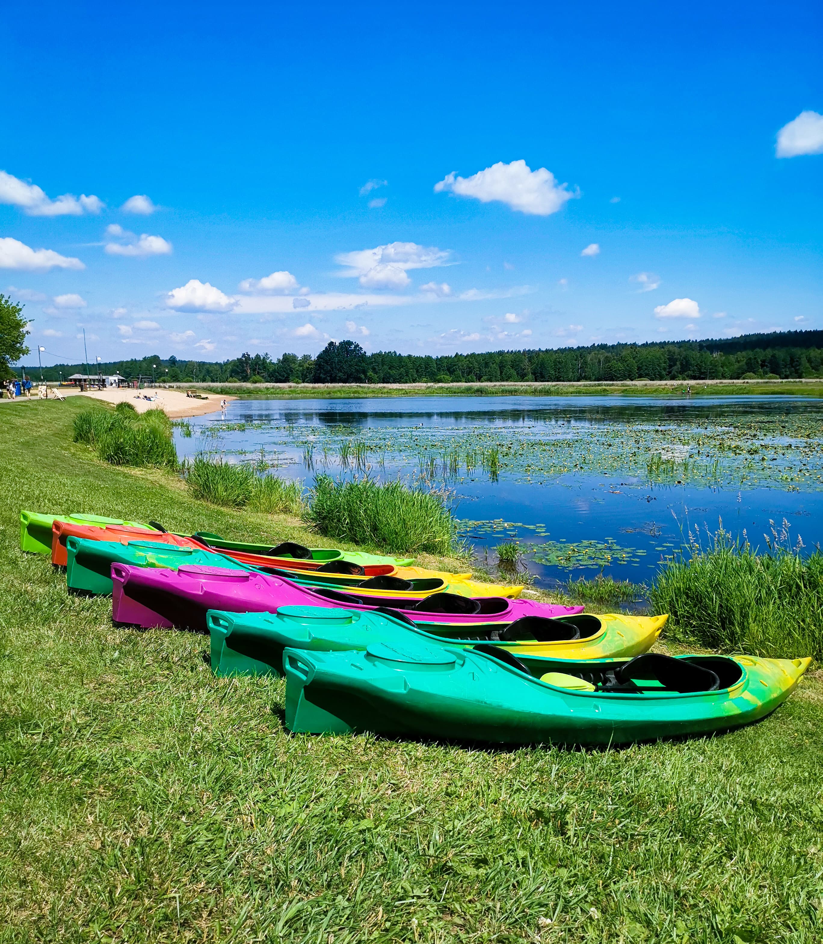 Przyroda Podlasia z kajaka